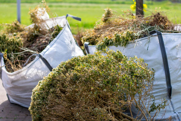 Full-Service Junk Removal in Morristown, TN
